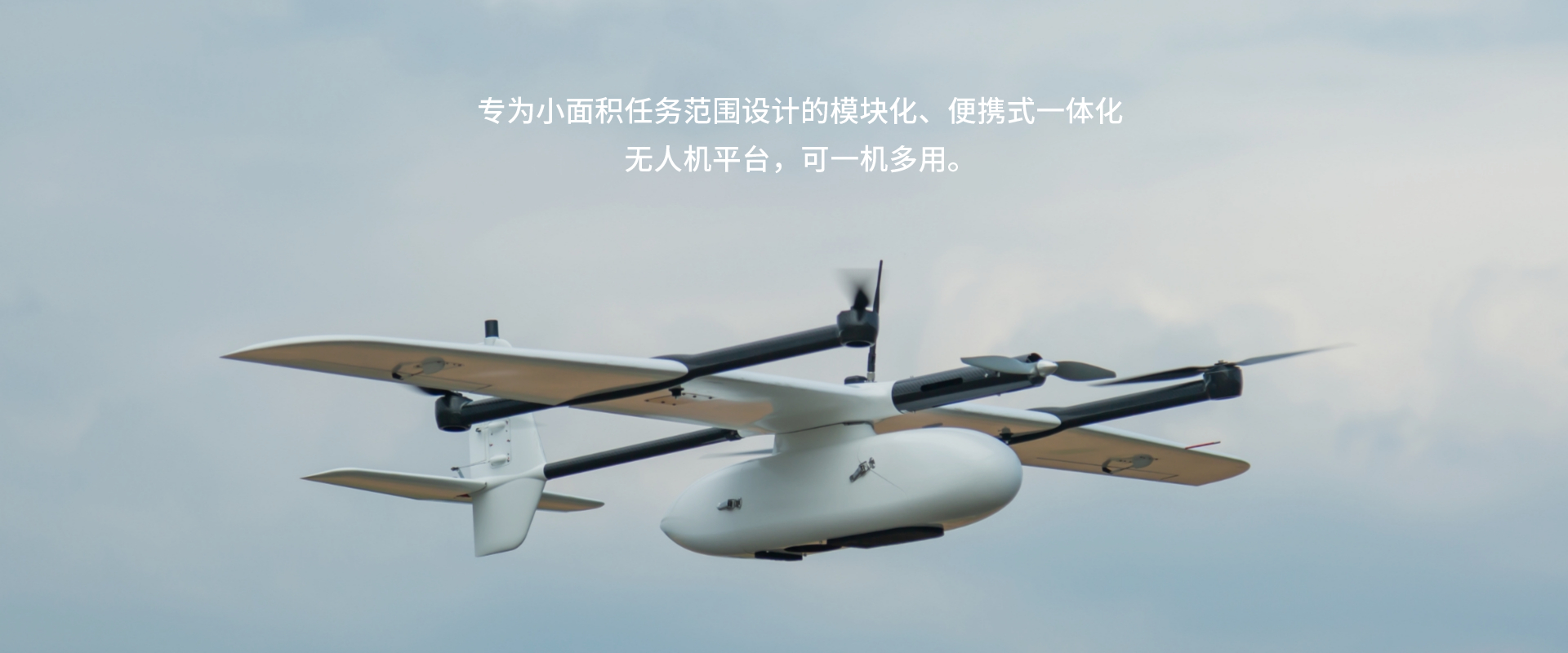 縱橫大鵬CW-10