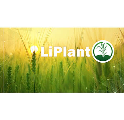 LiPlant表型數據處理軟件